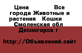 Zolton › Цена ­ 30 000 - Все города Животные и растения » Кошки   . Смоленская обл.,Десногорск г.